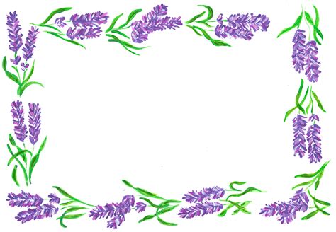 free lavender clipart|lavender border clip art.